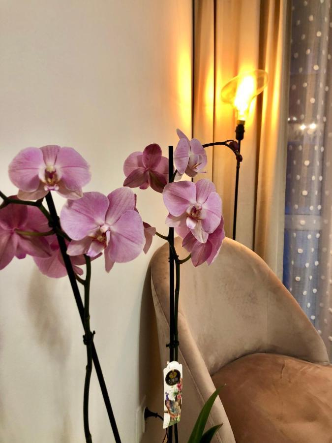 Old Town Romantic Apartment. Breslau-Wroclaw. מראה חיצוני תמונה